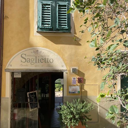 Uliveto Saglietto Agriturismo A Poggi Apartments Imperia Eksteriør bilde