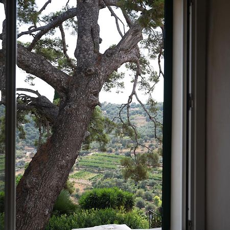 Uliveto Saglietto Agriturismo A Poggi Apartments Imperia Eksteriør bilde