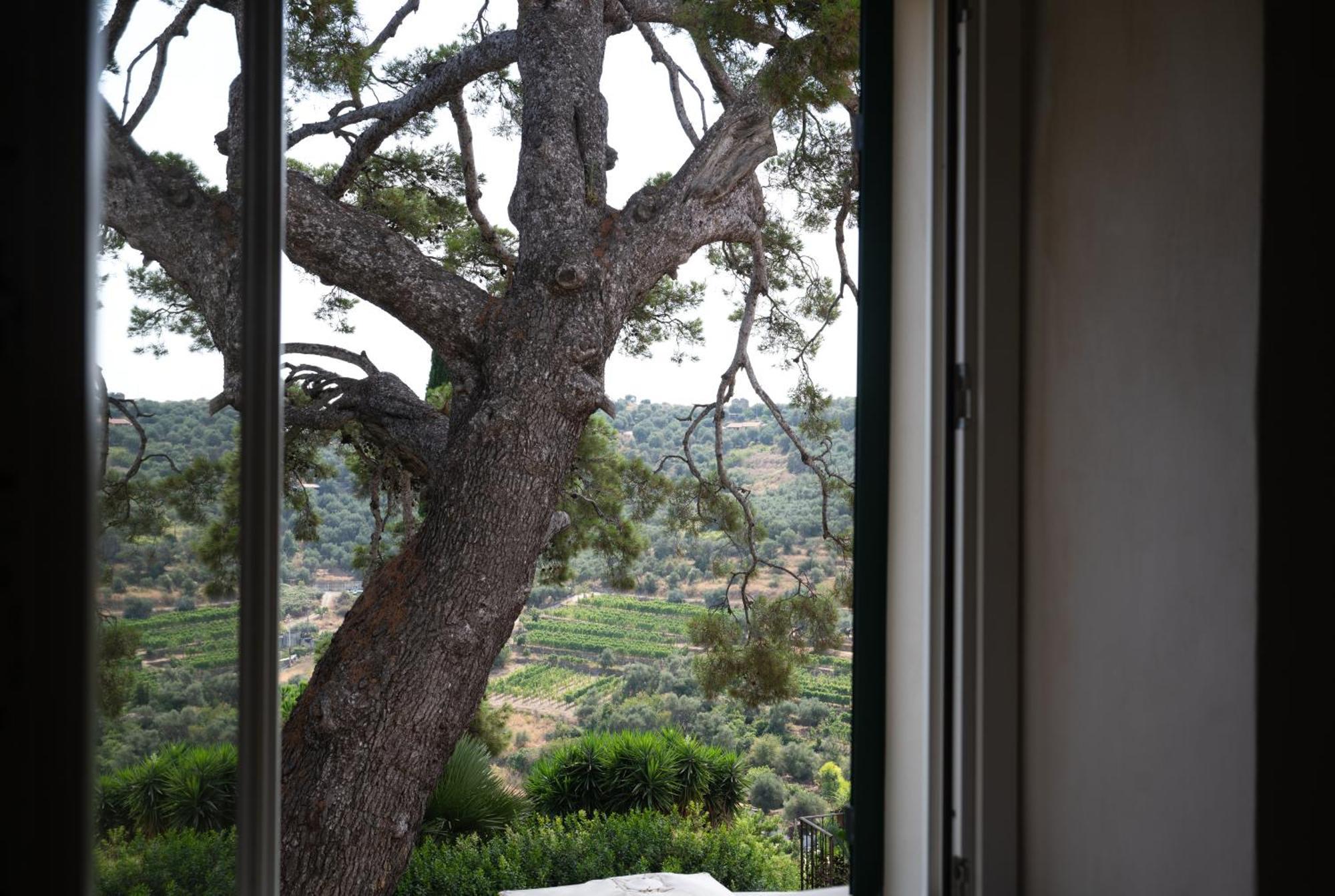 Uliveto Saglietto Agriturismo A Poggi Apartments Imperia Eksteriør bilde