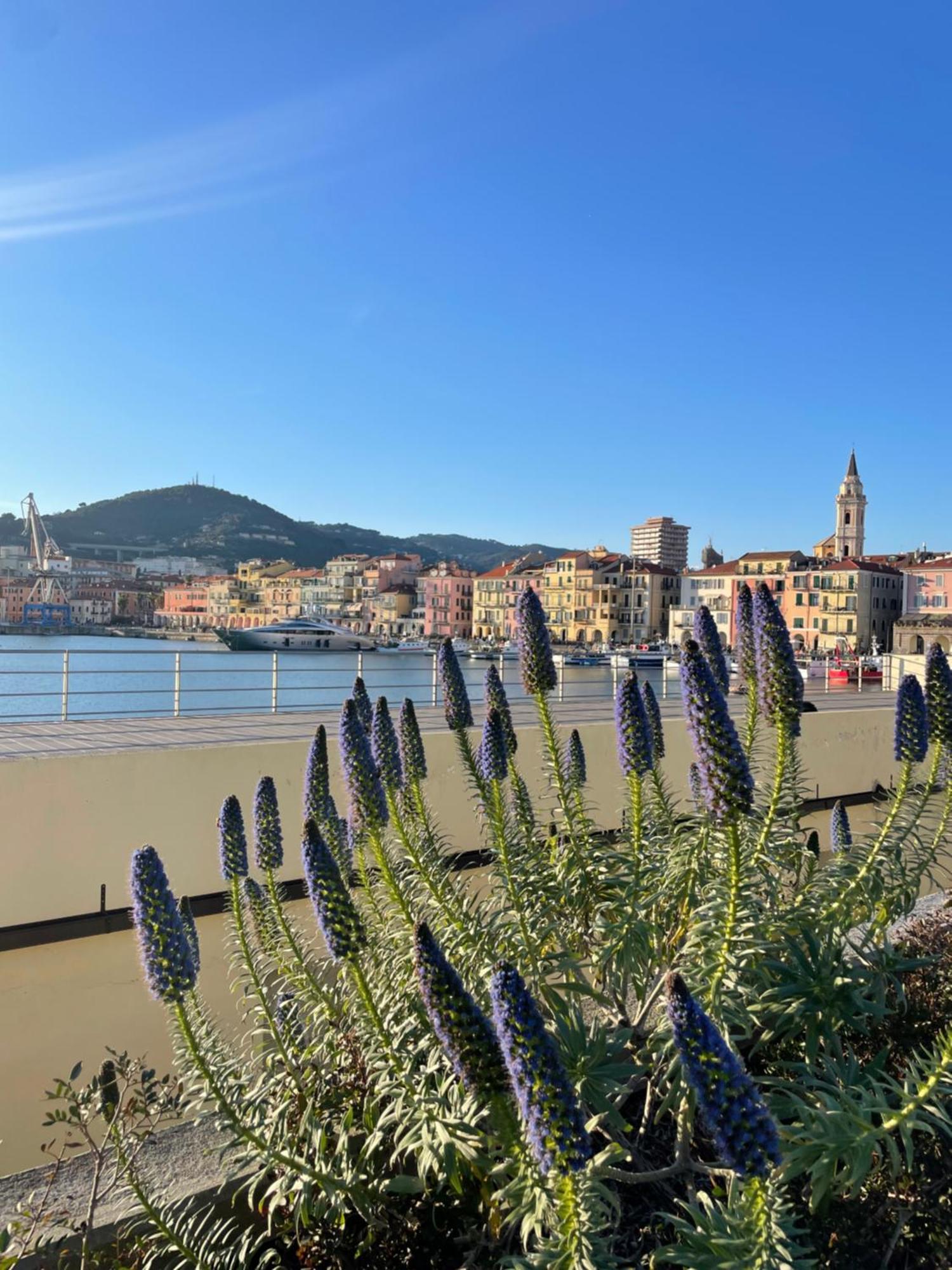 Uliveto Saglietto Agriturismo A Poggi Apartments Imperia Eksteriør bilde