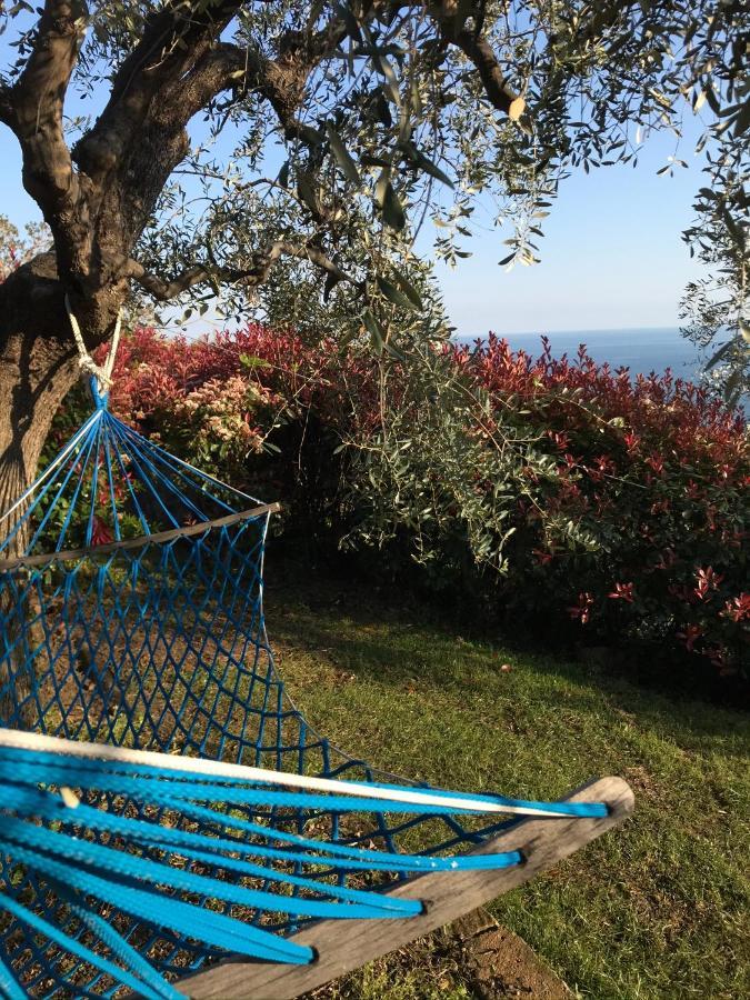Uliveto Saglietto Agriturismo A Poggi Apartments Imperia Eksteriør bilde